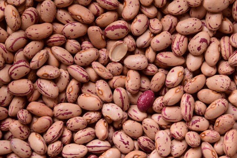 The Impact of Food Safety Testing on Food Distribution Systems